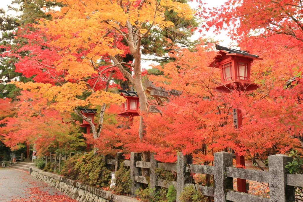 🍁 괭이산 신사(구와야마 진자)